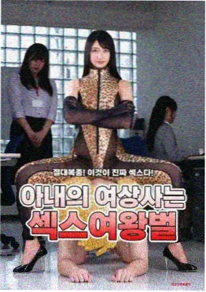 新番导视